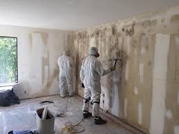 Best Residential Mold Inspection & Testing  in Carrington, ND